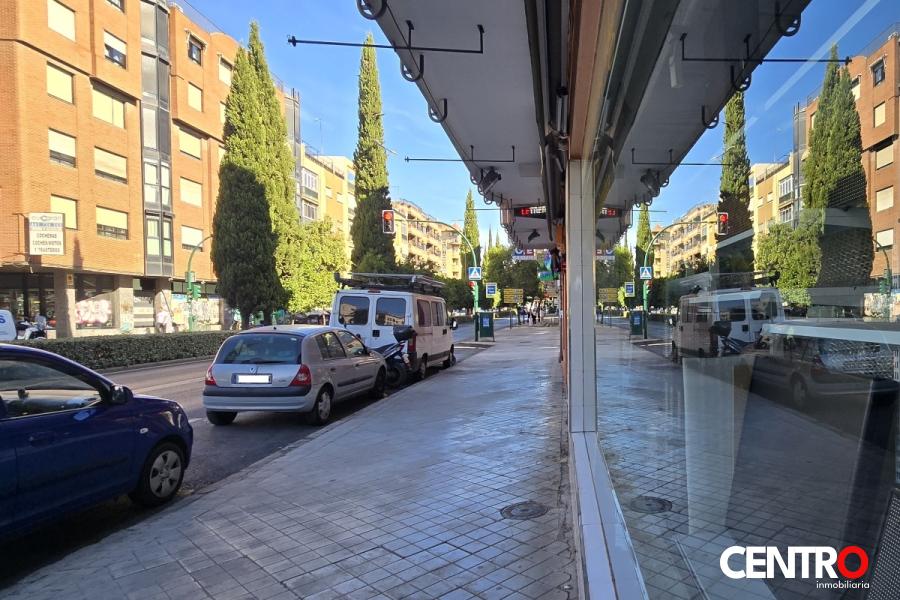 Local en Canino de Ronda en Granada